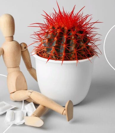 جراحی هموروئید با لیزر در شاهین