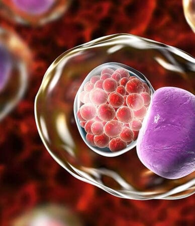 بیماری‌های مقاربتی