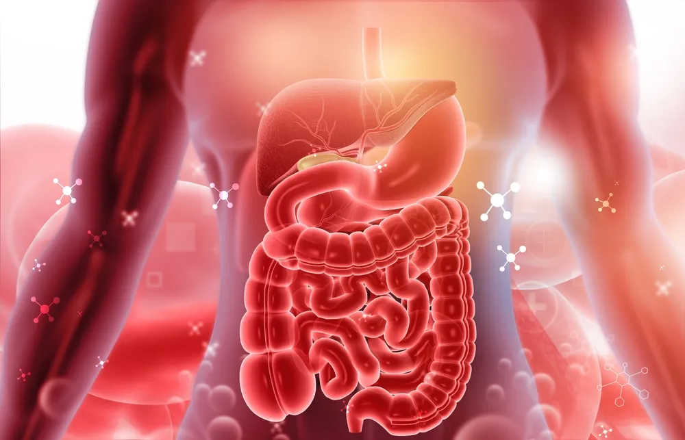 معاینه و تصویربرداری؛ راه های تشخیص سلامت رکتوم