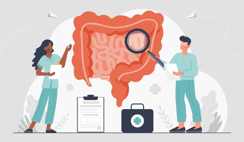 رکتوم و مقعد؛ از ساختار تا نقش در دفع مواد زائد