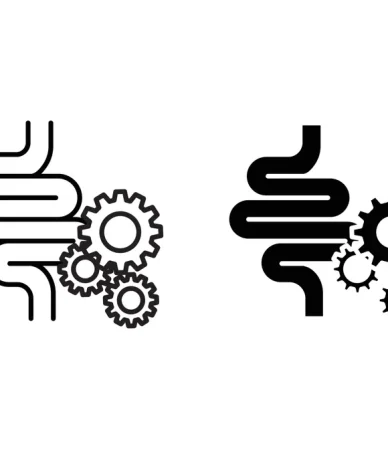 ملین و نقش آن در بهبود حرکات طبیعی روده