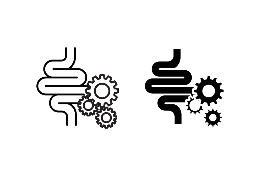 ملین و نقش آن در بهبود حرکات طبیعی روده