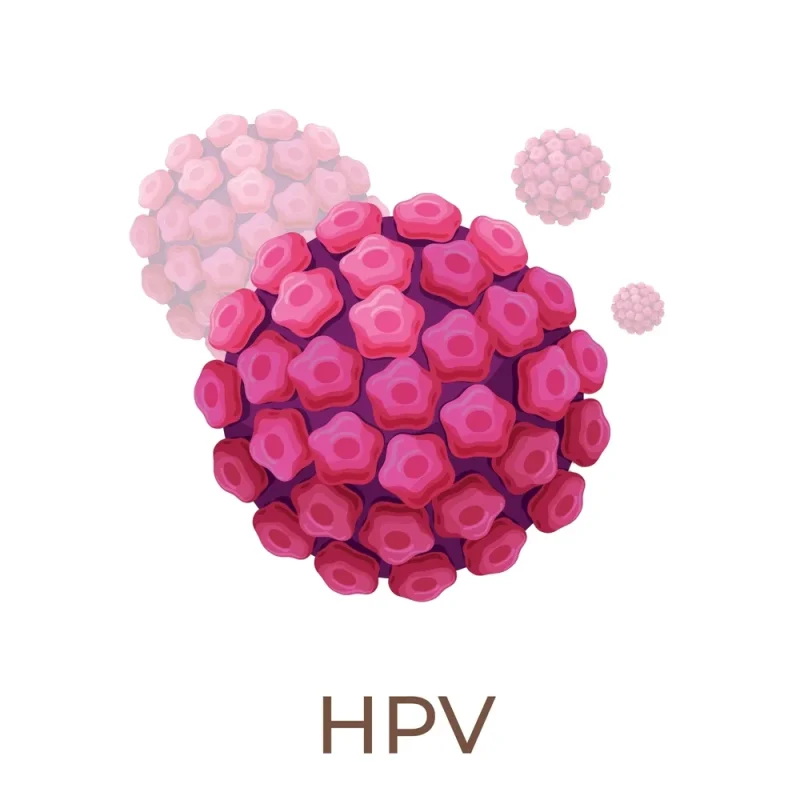 نقش ویروس HPV و زگیل تناسلی در ایجاد ناراحتی‌های ناحیه مقعد